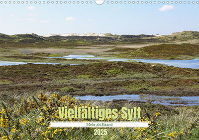 Cover Sylt